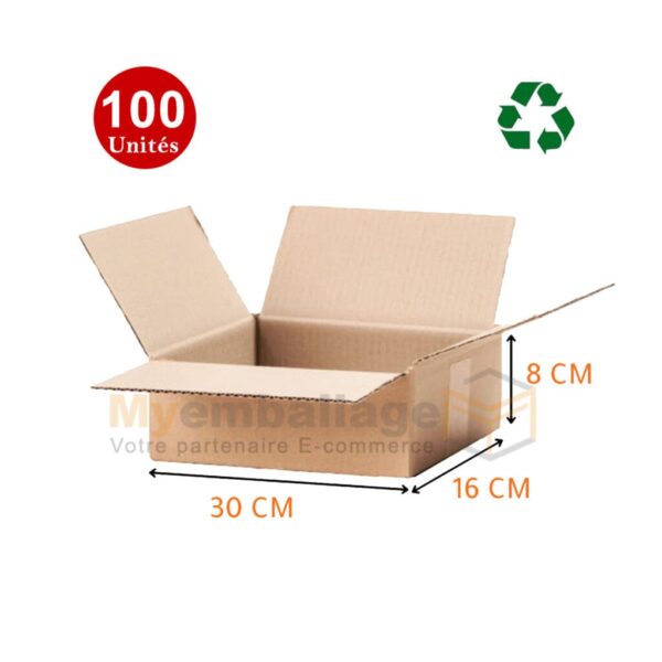 100 l Carton d'emballage Recyclé 30x16x8cm