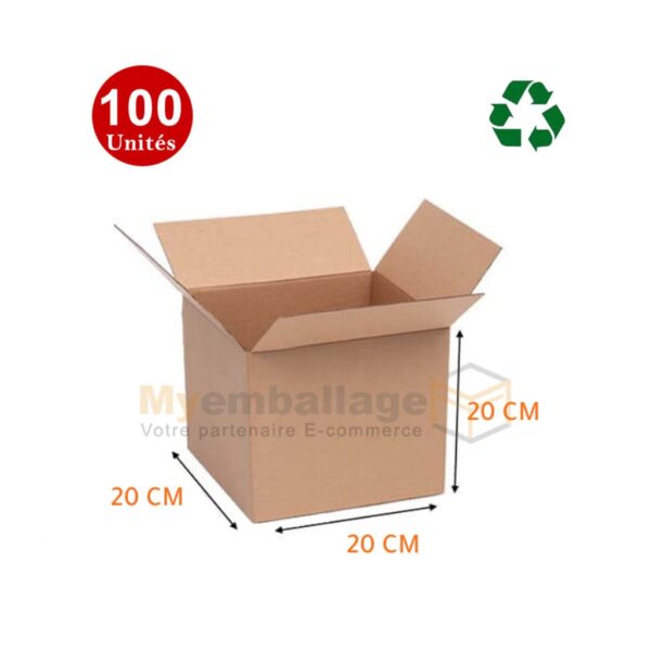 100 pp Carton d'emballage Recyclé 20x20x20cm