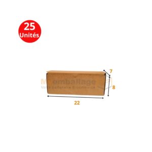 Boites valise 22x7x8cm en kraft