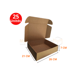 Boites valise 26x21x7cm en kraft