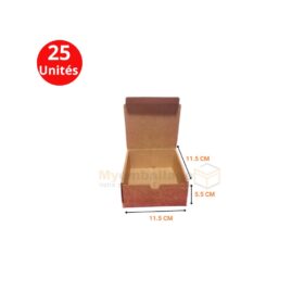 Boites valise 11x11x5cm en kraft