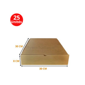 Boites valise 30x30x8cm en kraft