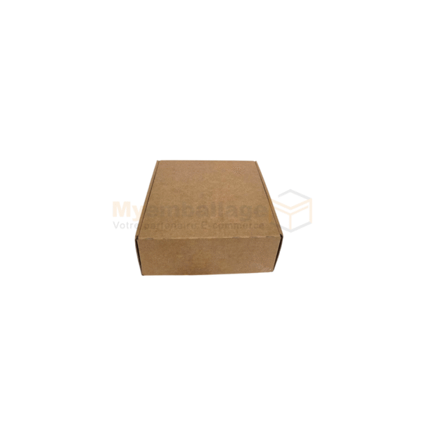Boites valise 16x16x7cm en kraft