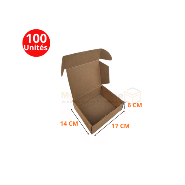 Boites valise 17x14x6cm en kraft