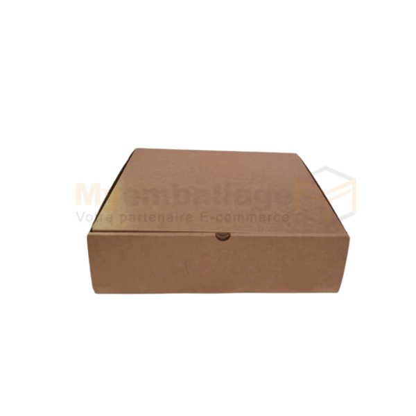 Boites valise 35x30x10cm en kraft