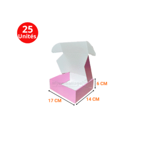 Boites valise 17x14x6cm en rose