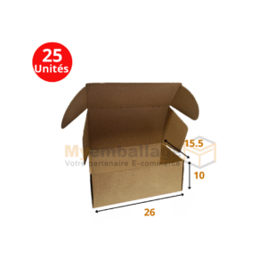 Boites valise 26x15x10cm en kraft