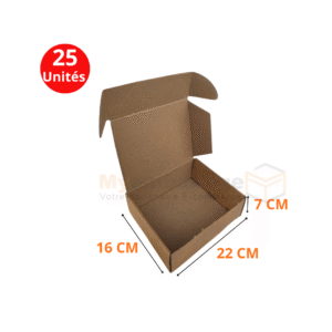 Boites valise 22x16x7cm en kraft