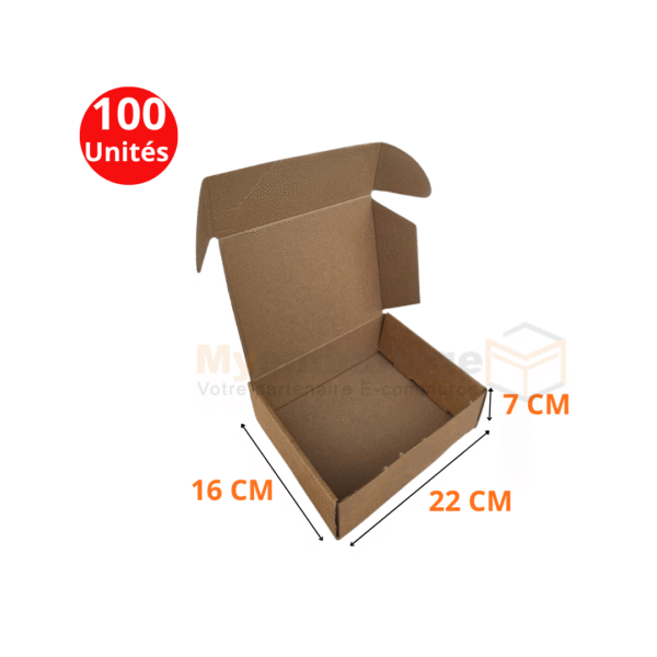 Boites valise 22x16x7cm en kraft