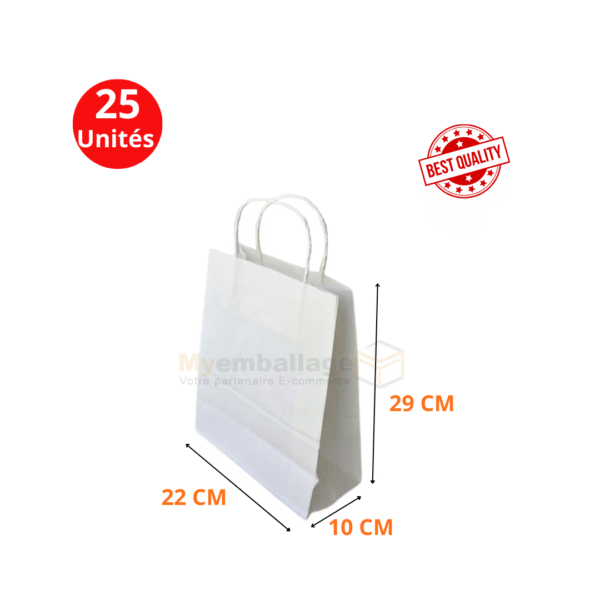 sachets papier kraft (4) Sac en papier size 29x22x10 blanc