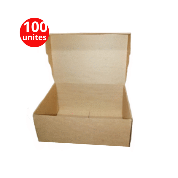 Boîte valise en carton 35 X 19 X 12 pour chaussures – Coffret