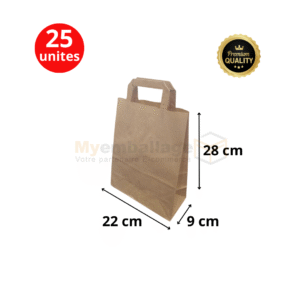 163 Sac en papier size 28x22x9 kraft