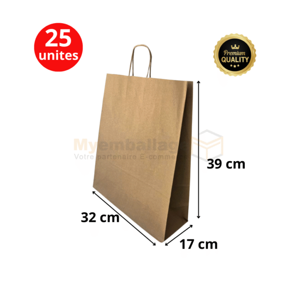 166 Sac en papier size 39x32x17 kraft à poignées torsadées